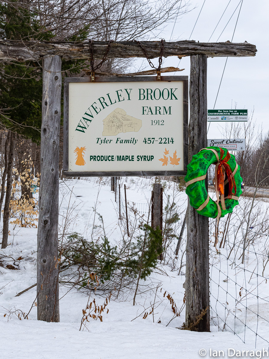 Waverley Brook Farm on Gelert Road was established in 1912. Their sign is decorated for St. Patrick's Day.